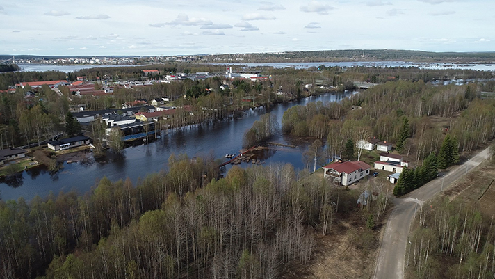 Rovaniemi, Saarenpudas 29.5.2020.