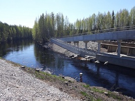 Valokuva Saarijärven Hietamankoskelle rakennetusta kalatiestä. Kuvassa kalatie, joki, puita ja taivas.