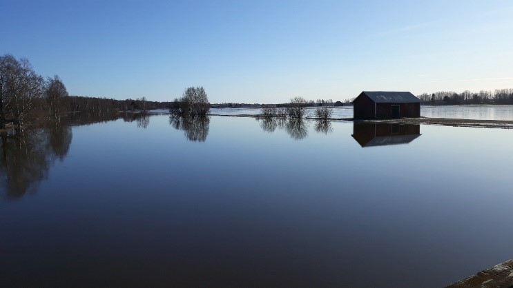 Tulvanäkymä Kokemäen joella. Veden keskellä on puita ja lato.