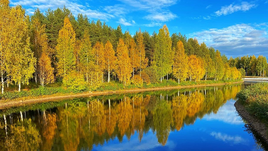 Puiden syksyinen väriloisto heijastuu joen tyynen veden pintaan kirkkaana syyspäivänä.