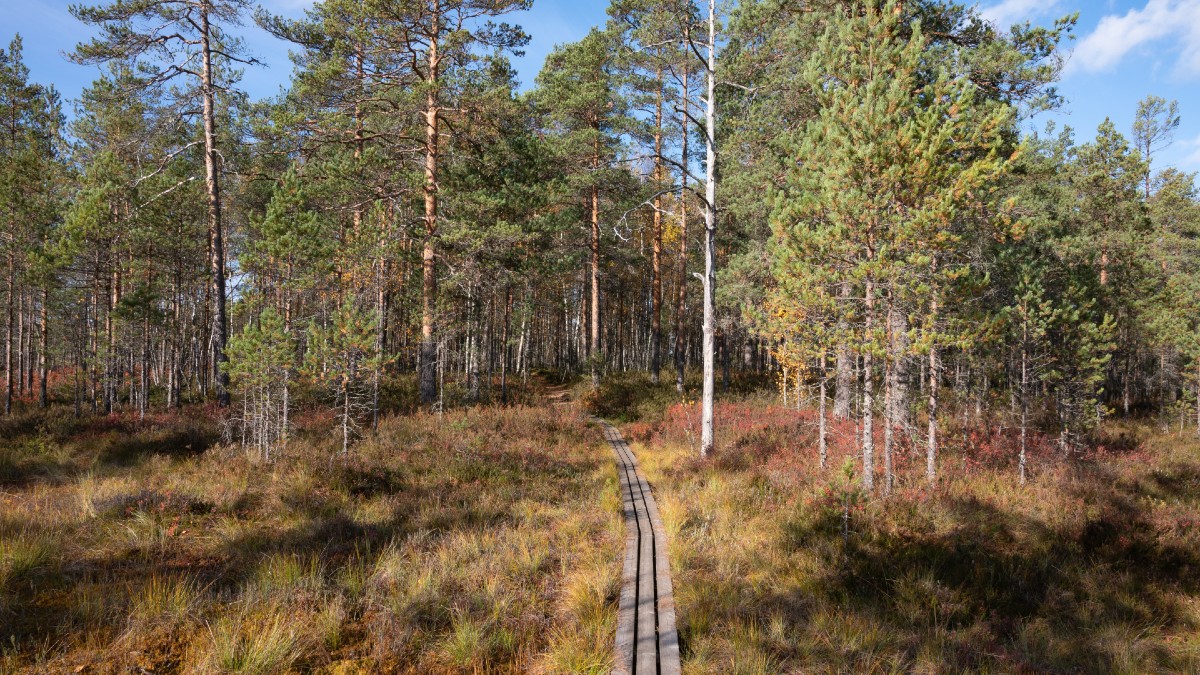 Understöd för utveckling av kommunernas närrekreationsområden inom programmet Finland i rörelse