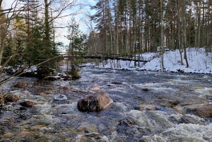 Kuohuva talvinen koski