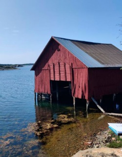 Kuva: Paraisilla avustusta käytetään saaressa sijaitsevan tilan historiallisten talousrakennusten kunnostukseen perinteisin menetelmin. Kuvassa olevan talaan eli venevajan rakenteita tuetaan ja osa tukipilareista on osittain uusittava. © yksityinen kokoelma. 