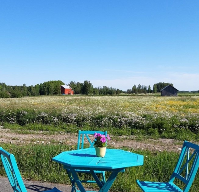 Turkoosin väriset tuolit ja pöytä taustallaan pohjalainen peltomaisema ja aurinkoinen, pilvetön taivas.