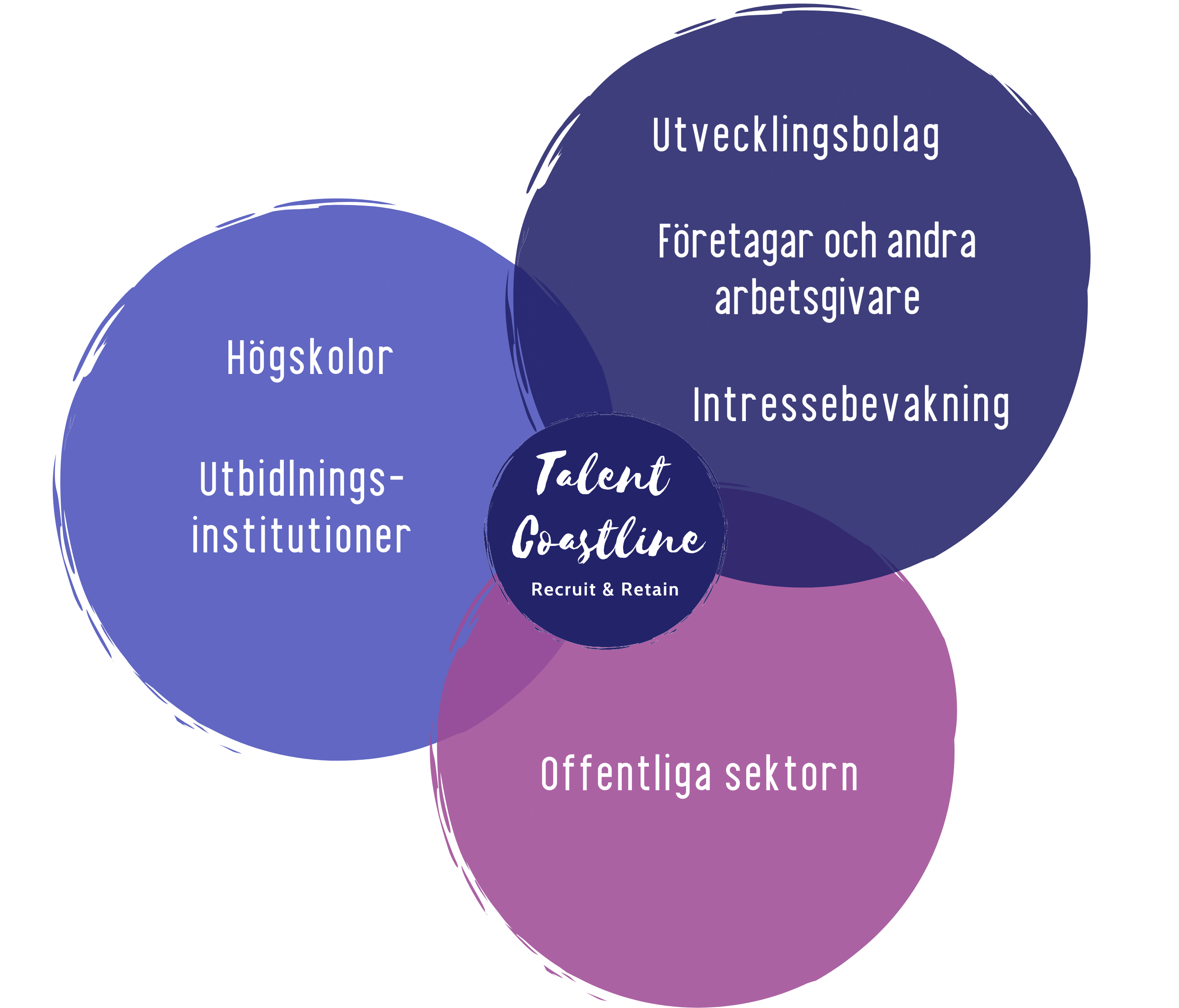 Talent Coastlines logotyp i mitten av tre lila cirklar. Talent Coastlines aktörer är utvecklingsbolag, Företag och andra arbetsgivare, Intressebevakning, offentliga sektor, högskolor och utbildningsinstitutioner.