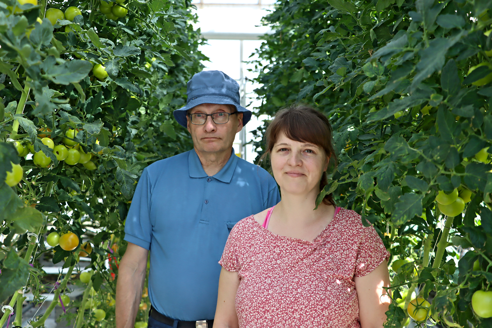 Juha Näkkilä ja Mari Kosonen seisovat vierekkäin kasvihuoneessa, jossa kasvaa tomaattia.