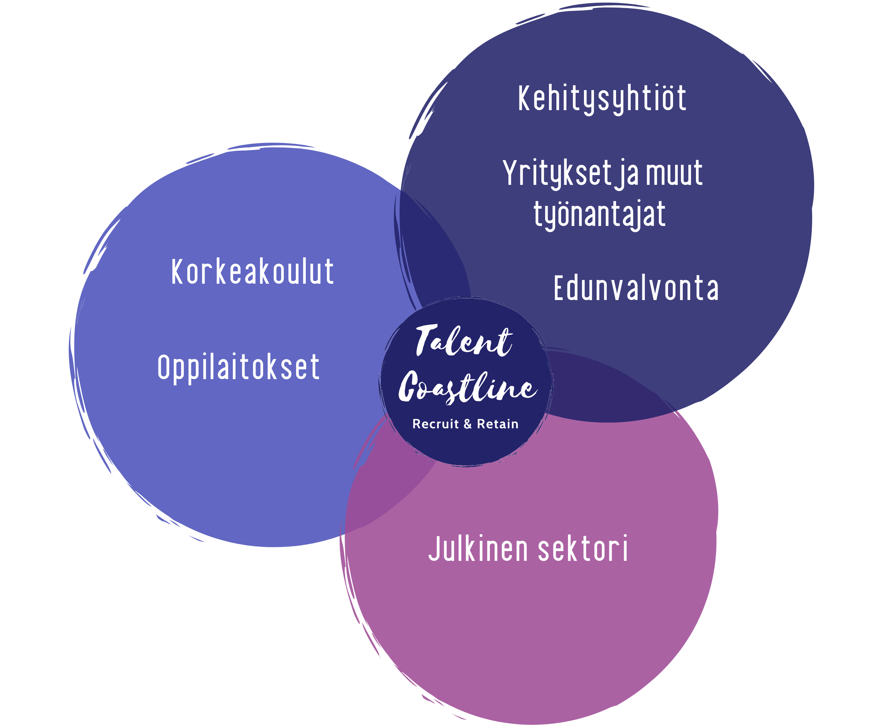 Talent Coastlinen logo kolmen violetin ympyrän keskellä. Talent Coastlinen toimijoita ovat kehitysyhtiöt, yritykset ja muut työnantajat, edunvalvonta, julkinen sektori, korkeakoulut ja oppilaitokset. 