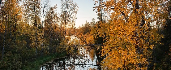 Ruska ja jokimaisema.