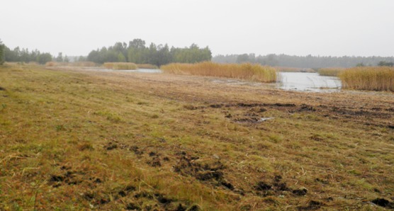 Kuvat ennen ja ja jälkeen niittoa Marikarista.