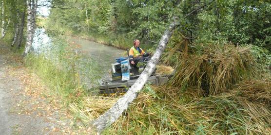 Vesiruoko massaa työnnetään rantaa kohti Tuxorilla.