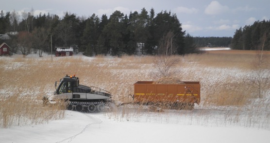 Bandwagen -leikkuukone kuljettaa leikattua ruovikkomassaa takaosan lavassa.